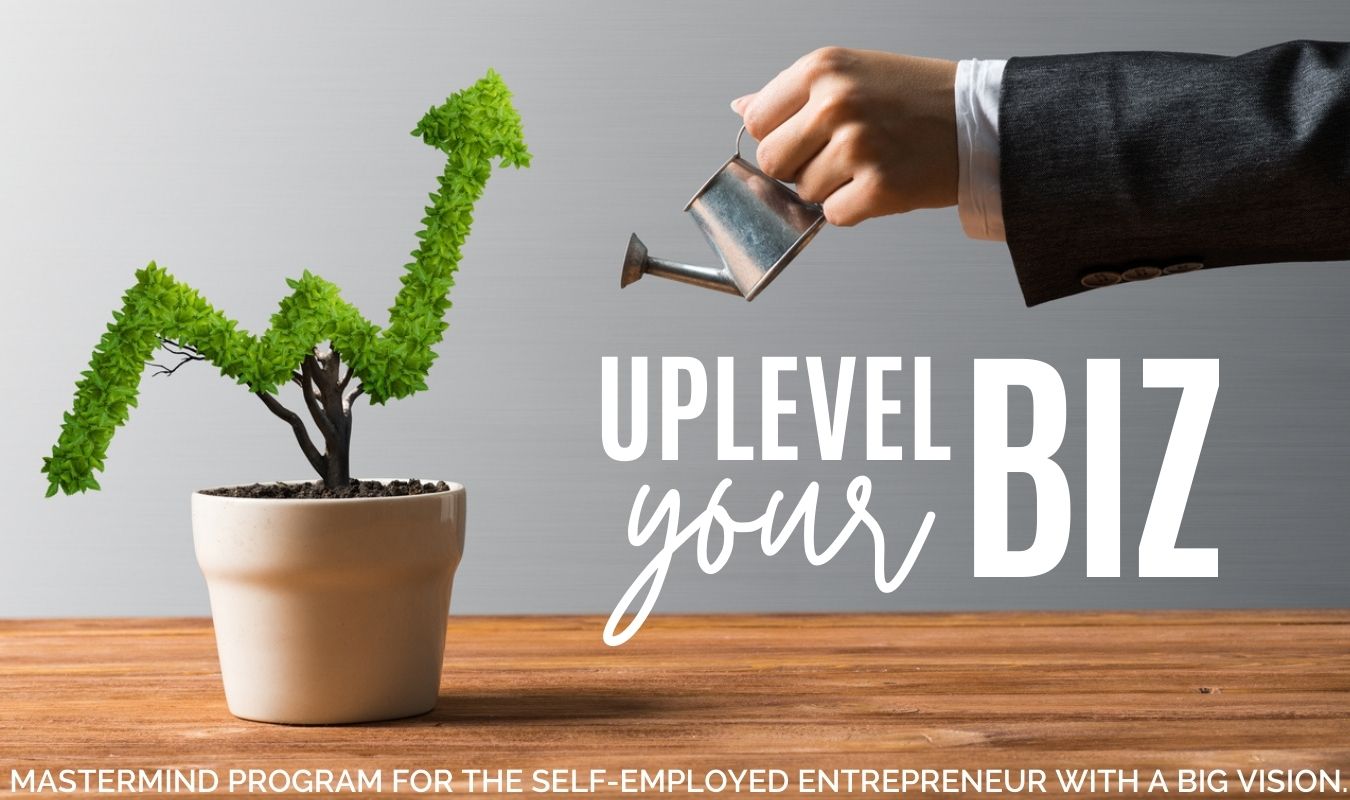 Uplevel Your Biz: A Mastermind program for self-employed entrepreneurs with a big vision.